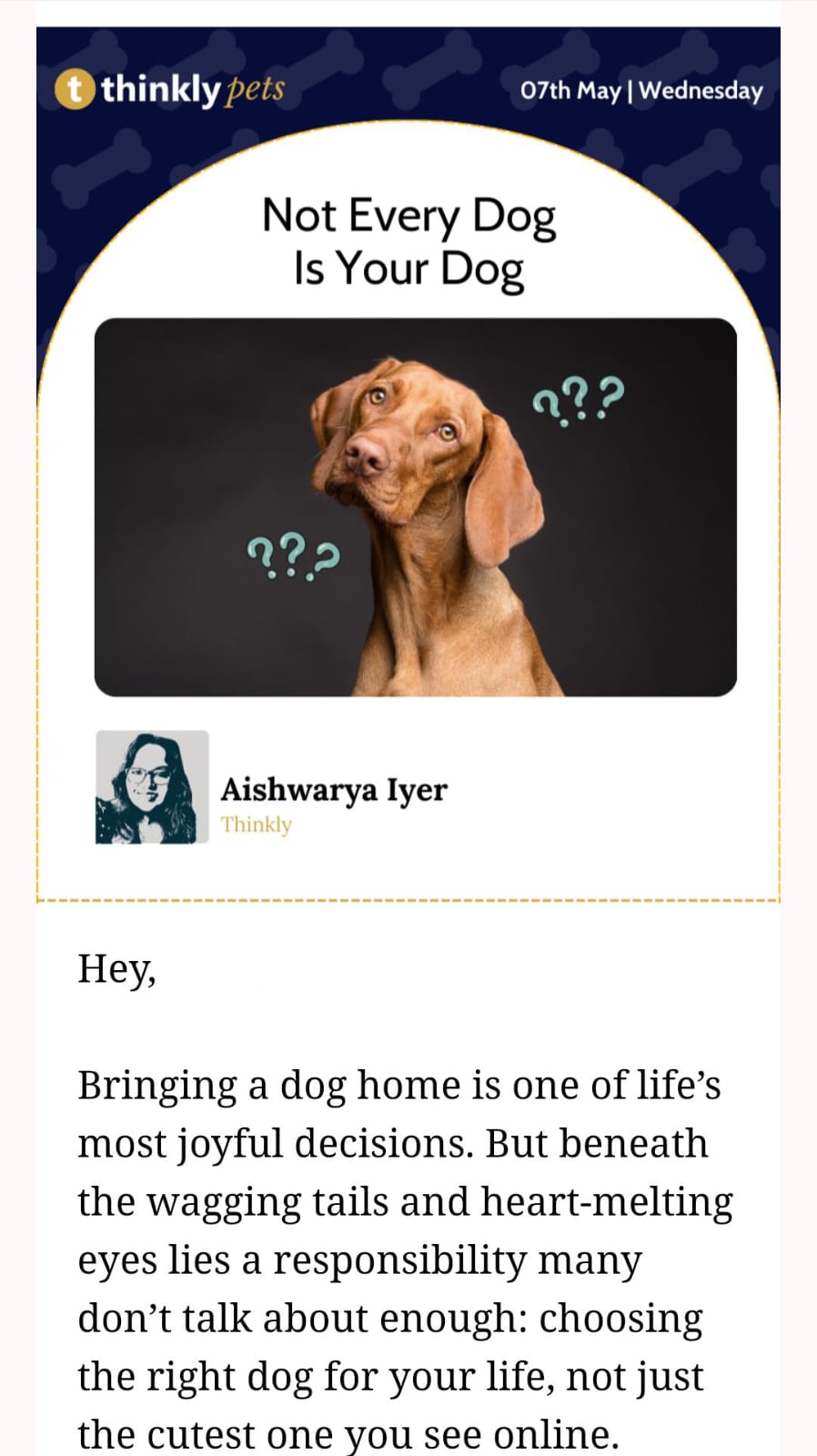 Newsletter